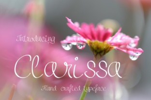 Clarissa: A Versatile Script Font for Small Business Branding
