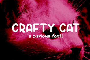 Crafty Cat: A Designer’s Honest Review
