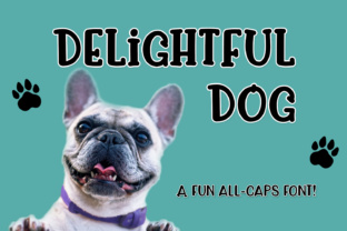 Delightful Dog: A Playful Display Font for Editors