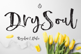 Dry Soul Typeface for Bold Branding