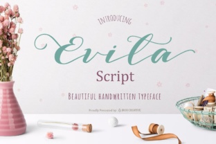 Evita Font Review: Boosting Campaign Visuals