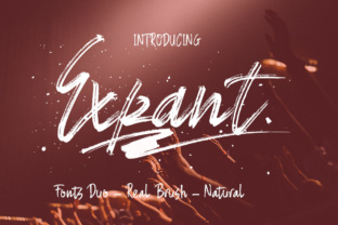 Expant: A Hand-Painted Font for Makers