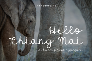 Hello Chiang Mai: A Script Font for Modern Web Design