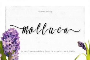 Molluca Review: A Designer’s Take on Modern Script