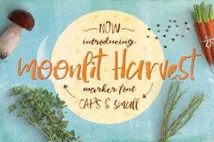 Moonlit Harvest: A Handcrafted Script Font Review
