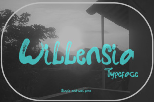 Willensia: A Designer’s Honest Review